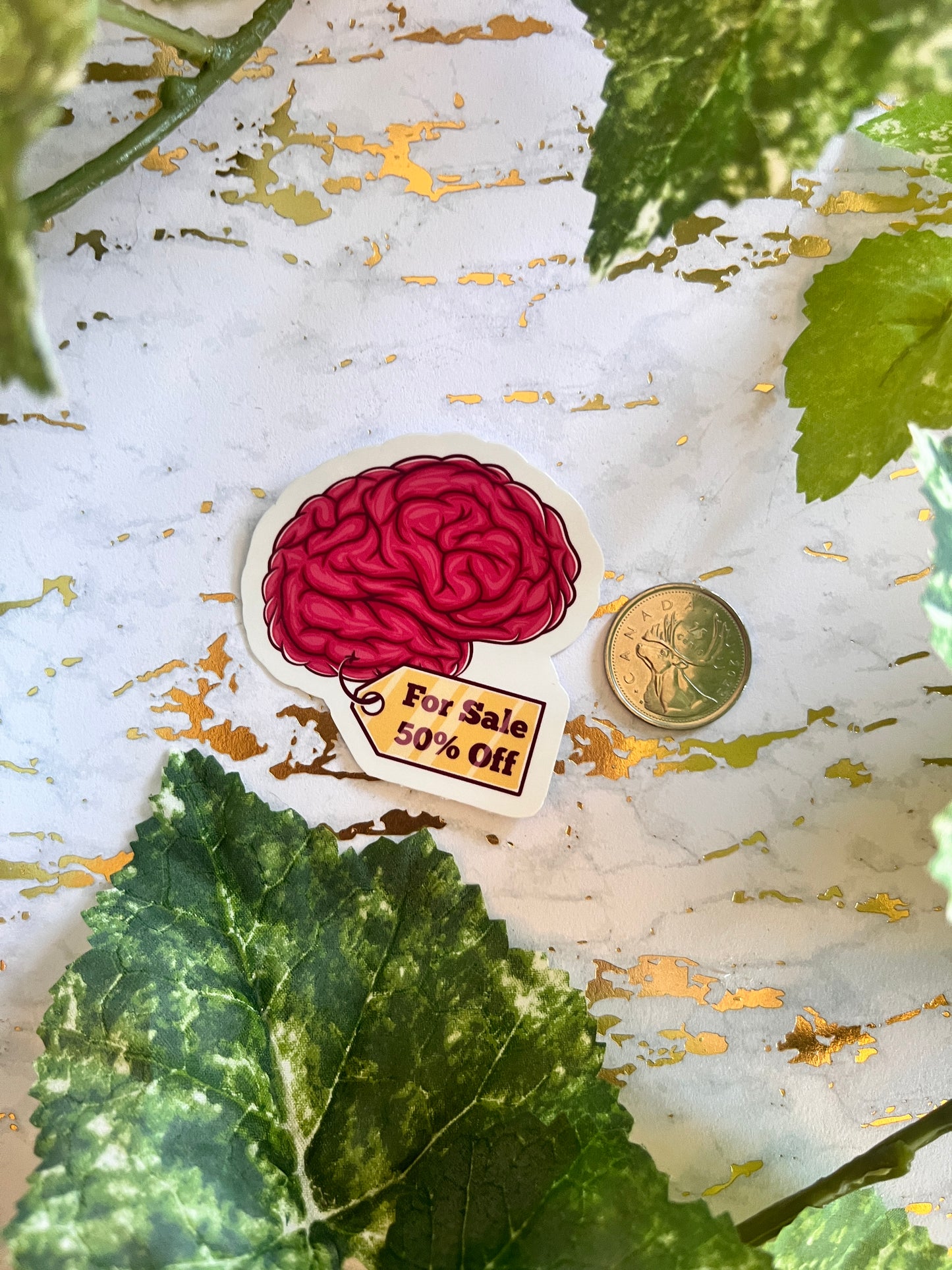 Brain for Sale Sticker