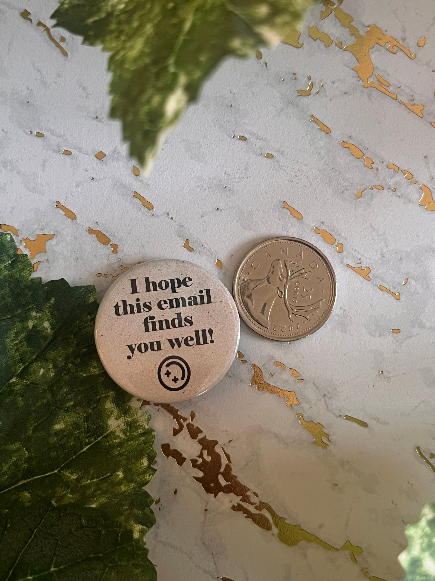 I Hope This Email Finds You Well Button Pin