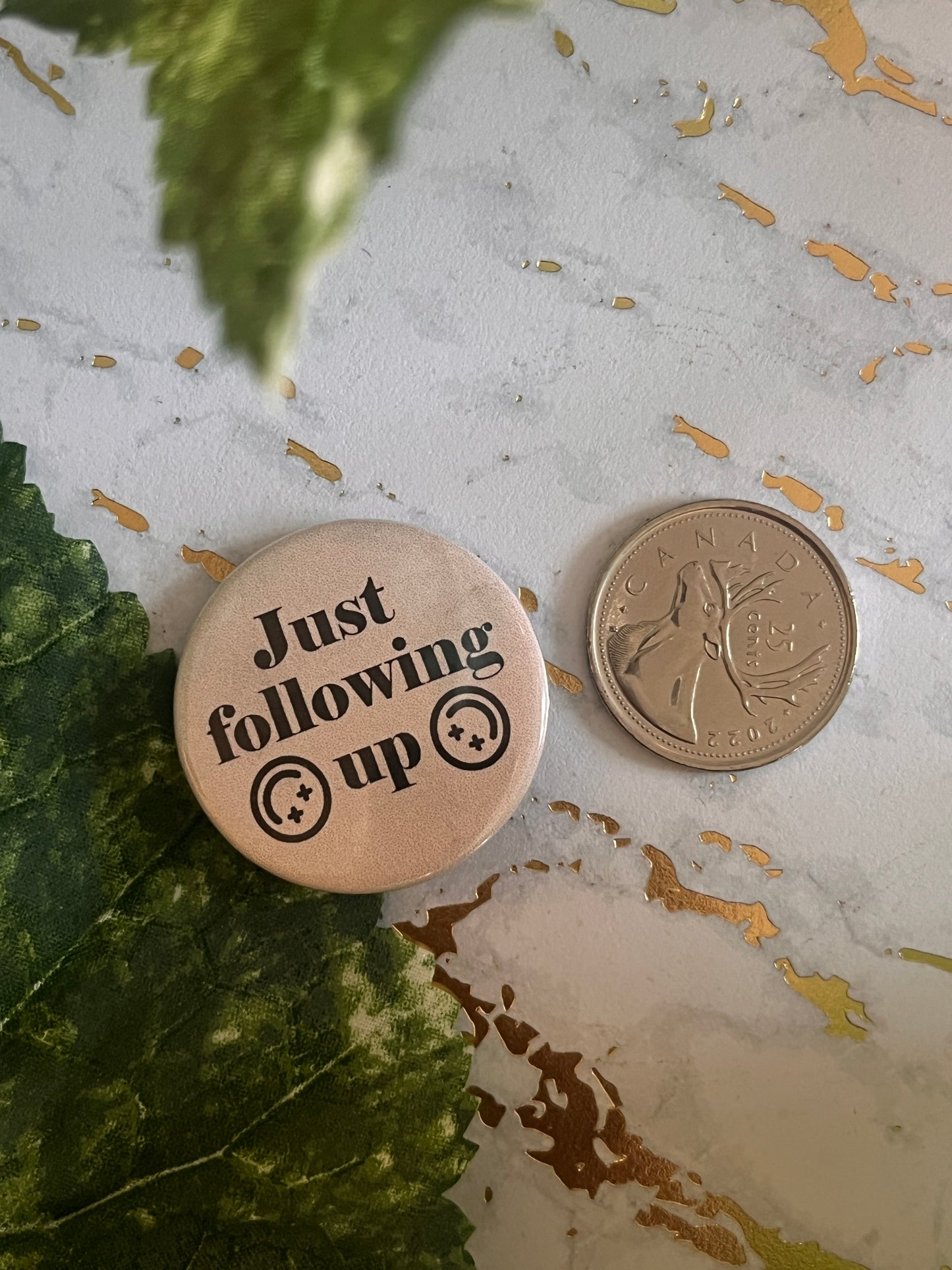 Just Following Up Button Pin